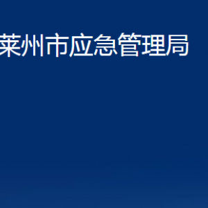 莱州市应急管理局各部门对外联系电话