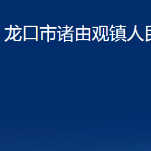 龙口市诸由观镇政府各职能部门对外联系电话