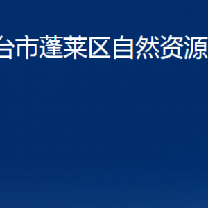 烟台市蓬莱区自然资源和规划局各部门对外联系电话