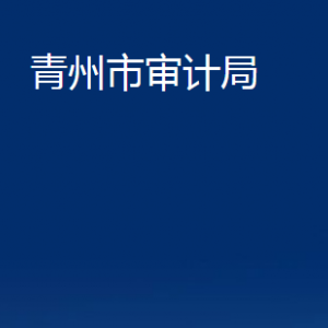 青州市审计局各部门对外联系电话