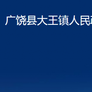 广饶县大王镇人民政府各部门对外联系电话