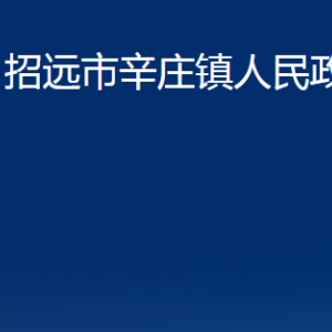 招远市辛庄镇政府各部门对外联系电话