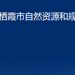 栖霞市自然资源和规划局各部门对外联系电话