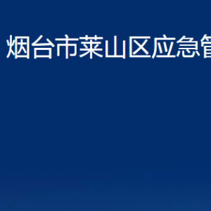 烟台市莱山区应急管理局各部门对外联系电话