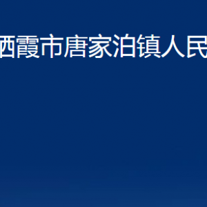 栖霞市唐家泊镇政府各部门对外联系电话