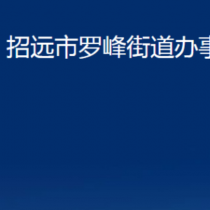 招远市罗峰街道办事处各部门对外联系电话