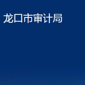 龙口市审计局各部门对外联系电话