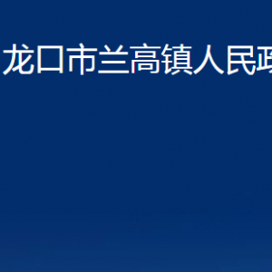 龙口市兰高镇政府各职能部门对外联系电话