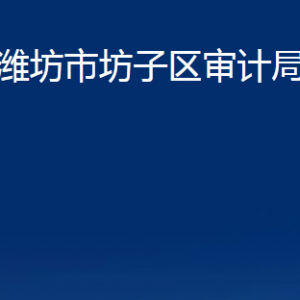 潍坊市坊子区审计局各部门对外联系电话及地址