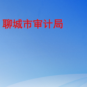 聊城市审计局各部门职责及联系电话