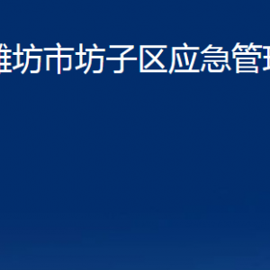 潍坊市坊子区应急管理局各科室对外联系电话