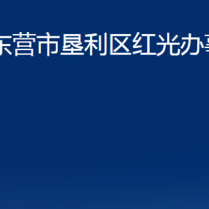 东营市垦利区红光办事处各部门对外联系电话