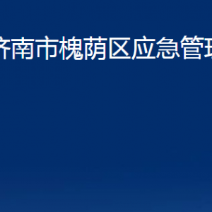 济南市槐荫区应急管理局各部门职责及联系电话