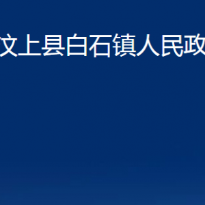 汶上县白石镇政府为民服务中心对外联系电话及地址