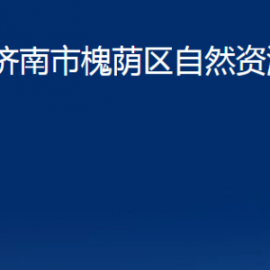 济南市槐荫区自然资源局各部门职责及联系电话