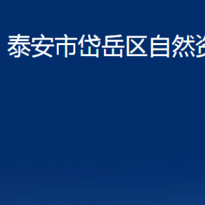 泰安市岱岳区自然资源局各部门职责及联系电话