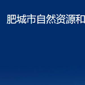 肥城市自然资源和规划局各中心对外联系电话及地址