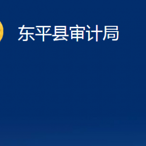 东平县审计局各部门职责及对外联系电话