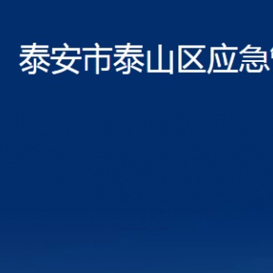 泰安市泰山区应急管理局各部门职责及联系电话