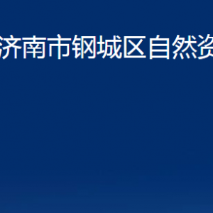 济南市钢城区自然资源局各部门职责及联系电话