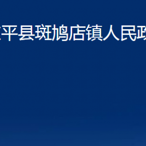 东平县斑鸠店镇政府各部门职责及联系电话