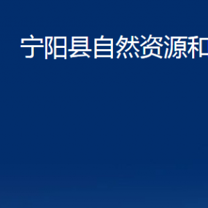 宁阳县自然资源和规划局各部门对外联系电话