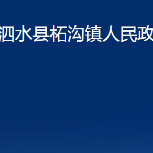 泗水县柘沟镇政府为民服务中心对外联系电话