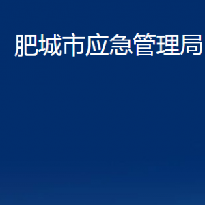 肥城市应急管理局各服务中心对外联系电话及地址