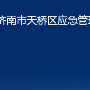 济南市天桥区应急管理局各部门职责及联系电话