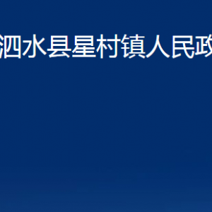 泗水县星村镇政府为民服务中心对外联系电话