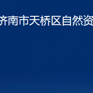 济南市天桥区自然资源局各部门职责及联系电话