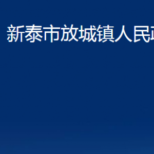 新泰市放城镇政府各部门对外联系电话