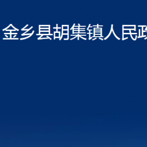 金乡县胡集镇政府为民服务中心对外联系电话及地址