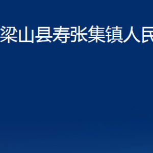 梁山县寿张集镇政府为民服务中心对外联系电话及地址