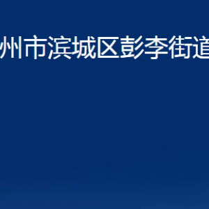 滨州市滨城区彭李街道便民服务中心办公时间及联系电话