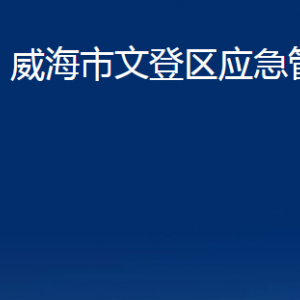 威海市文登区应急管理局各部门对外联系电话