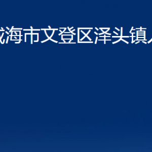 威海市文登区泽头镇政府各部门对外联系电话