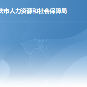 肇庆市人力资源和社会保障局各部门负责人及联系电话