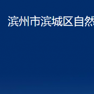 滨州市滨城区自然资源局各部门职责及对外联系电话