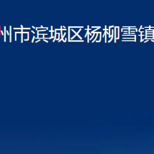滨州市滨城区杨柳雪镇政府便民服务中心办公时间及联系电话