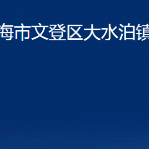 威海市文登区大水泊镇政府各部门对外联系电话