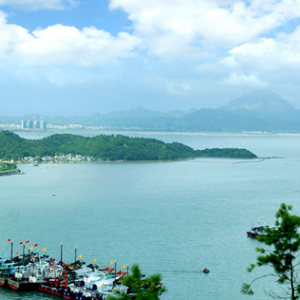 汕尾市城区红草镇各村（社区）详细地址和联系电话