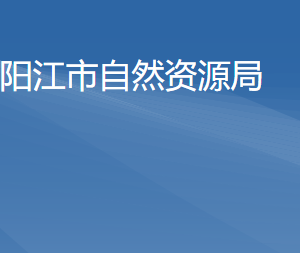 阳江市自然资源局各办事窗口工作时间及联系电话