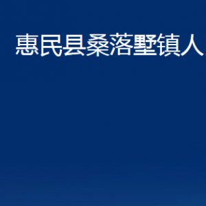 惠民县桑落墅镇政府各部门对外联系电话及办公时间