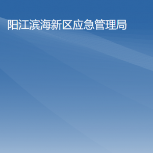 阳江滨海新区应急管理局负责人及联系电话