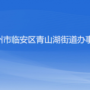 杭州市临安区青山湖街道办事处各部门负责人和联系电话