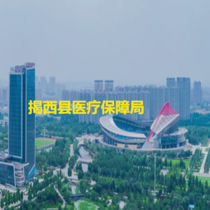 揭西县医疗保障局各办事窗口工作时间和咨询电话