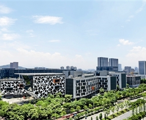 杭州高新技术开发区（滨江）政府办公室各部门联系电话