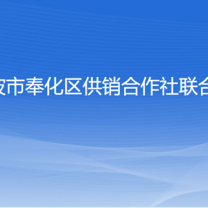 宁波市奉化区供销合作社联合社各部门负责人和联系电话