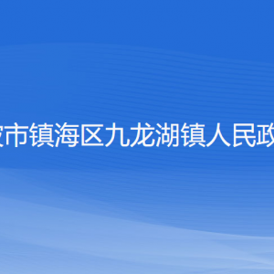 宁波市镇海区九龙湖镇政府各部门负责人和联系电